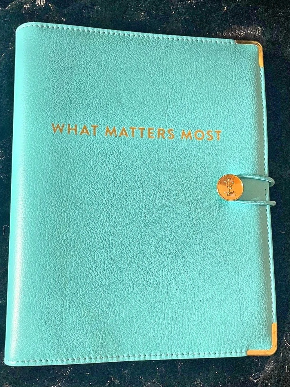 Simplified Planner Ring in Blue Like New